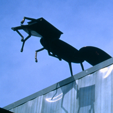 Herd Instinct Featured Image