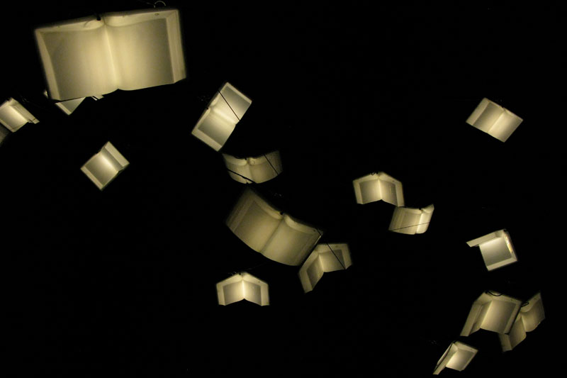 Language of the Birds