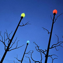 Photogenesis Featured Image 2